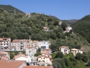 Pisciotta